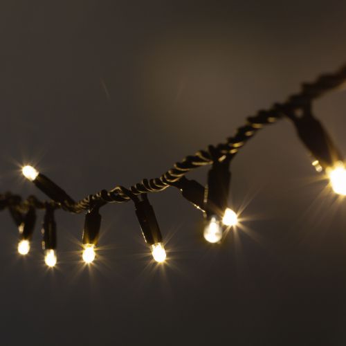 Гирлянда светодиодная "Нить" 10м 100LED тепл. бел. IP65 220В бел. мерцание провод черн. каучук (без шнура питания) ERAPS-NK10 Эра Б0051888