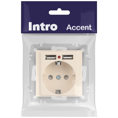 Розетка 1-м СП Accent 6-410-02 16А IP20 250В P+E Schuko + 2хUSB защ. шторки сл. кость Intro Б0063692