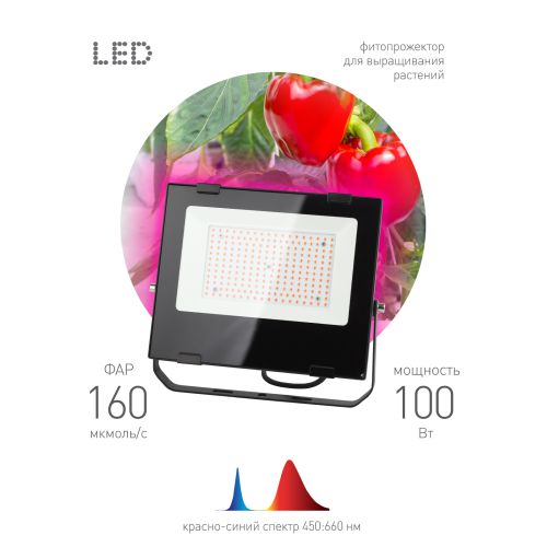 Прожектор светодиодный для растений FITO-100W-RB-LED для цветения и плодоношения красно-синего спектра ЭРА Б0046369