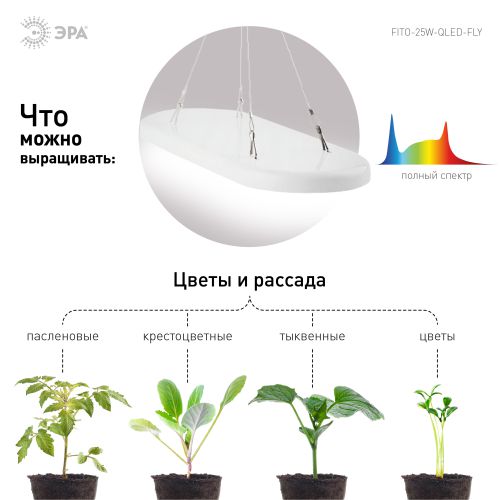 Светильник светодиодный FITO-25W-QLED-FLY 25Вт подвесной для растений полноспектральный Эра Б0053062