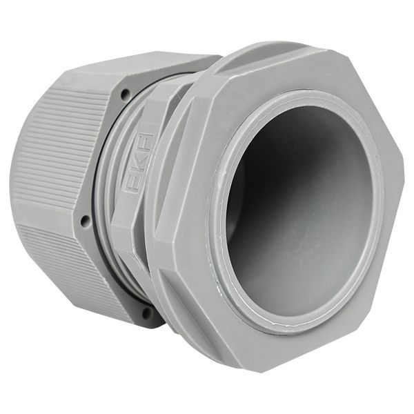 Сальник PG36 d22-32мм (d отверст. 46мм) IP54 (уп.1шт) PROxima EKF plc-pg-36-1-r
