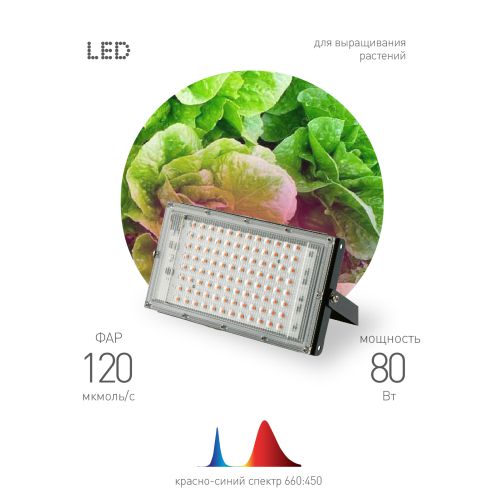 Прожектор светодиодный FITO-80W-RB-LED-Y 80Вт для растений красн./син. спектр IP65 Эра Б0053082