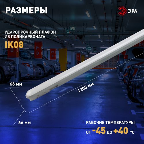 Светильник светодиодный SPP-211-0-65K-048 48Вт 6500К IP65 1200мм матов. Эра Б0069205