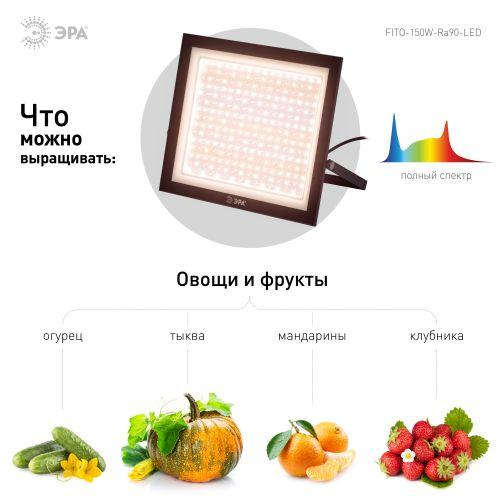 Прожектор светодиодный FITO-150W-Ra90-LED 150Вт для растений полного спектра профессиональный Эра Б0059880