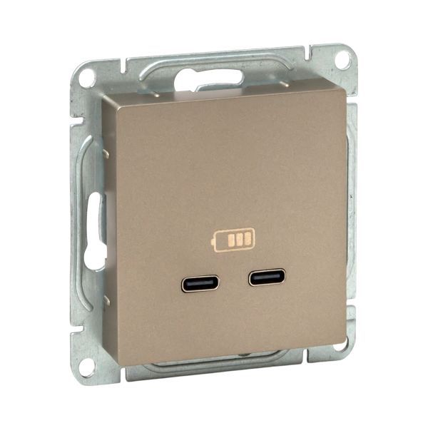 Розетка 2-м СП Эпика USB-C механизм шампань EKF UP1-SOC-2USBC