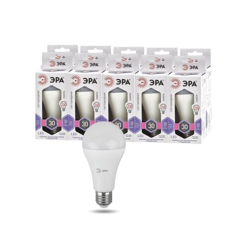 Лампа светодиодная LED A65-30W-860-E27 A65 30Вт груша E27 холод. бел. ЭРА Б0048017