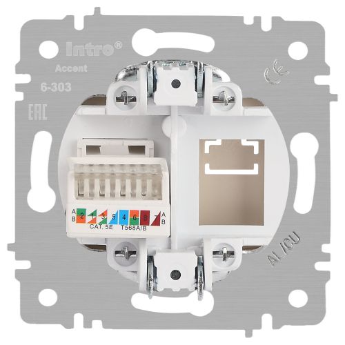 Розетка компьютерная 1-м СП Accent 6-303-11 RJ45 IP20 сосна Intro Б0063644
