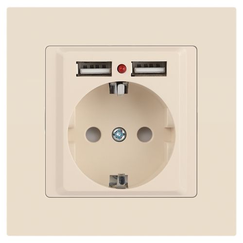 Розетка 1-м СП Accent 6-410-02 16А IP20 250В P+E Schuko + 2хUSB защ. шторки сл. кость Intro Б0063692