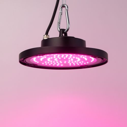 Прожектор светодиодный FITO-50W-RB-LED-UFO 50Вт для растений красн./син. спектр IP65 Эра Б0053280