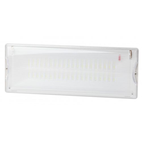 Светильник светодиодный DPA-301-1-65 IP65 40LED 3ч аварийный постоянный Проектный Эра Б0051843