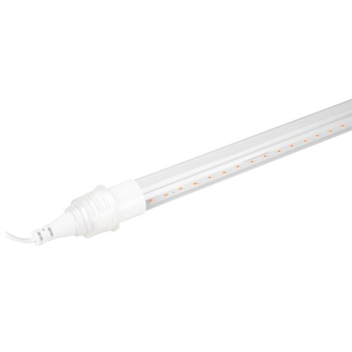 Светильник FITO-9W-Rb-Т8+FITO-Holder IP65 2хG13 линейный для растений с выключателем 1.5м Эра Б0069515