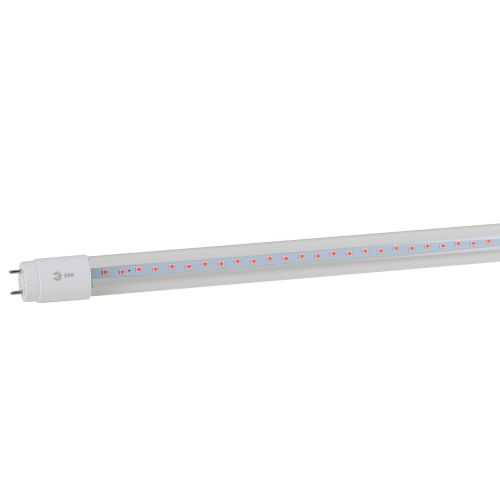Лампа светодиодная FITO-18W-RB-Т8-G13-NL 18Вт T8 линейная 96LED 2835 IP20 35000ч для растений красн./син. спектр стекло Эра Б0042990
