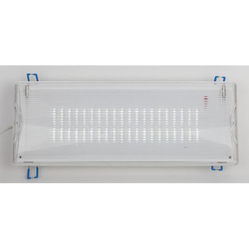 Светильник светодиодный DPA-301-1-65 IP65 40LED 3ч аварийный постоянный Проектный Эра Б0051843