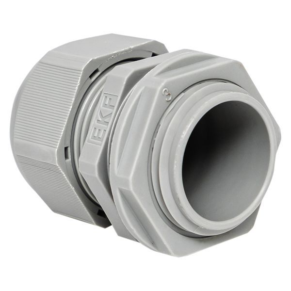 Сальник PG16 d10-14мм (d отверст. 21мм) IP54 (уп.2шт) PROxima EKF plc-pg-16-2-r
