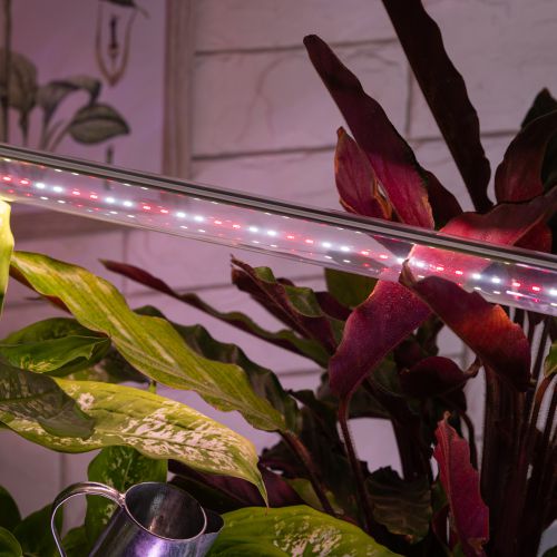 Лампа светодиодная FITO-18W-Ra90-Т8-G13-NL 18Вт T8 линейная 92LED 2835 IP20 35000ч для растений полноспектральная стекло Эра Б0042987