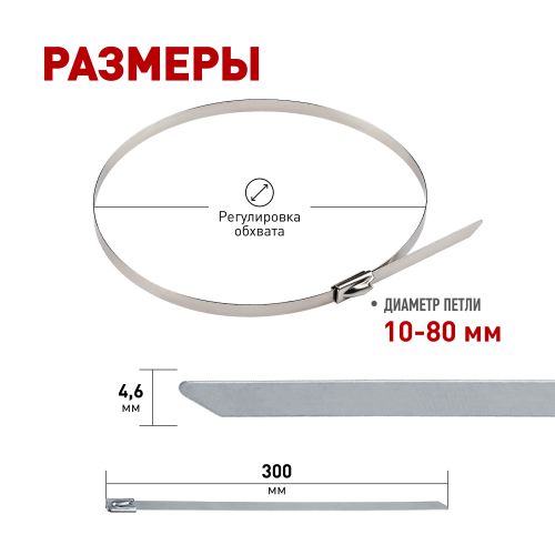 Хомут кабельный 4.6х300 сталь AISI 304 NO-225-249 (уп.10шт) Эра Б0066309