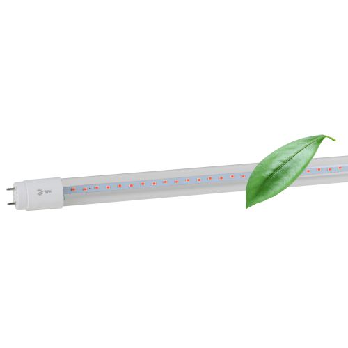 Лампа светодиодная FITO-18W-RB-Т8-G13-NL 18Вт T8 линейная 96LED 2835 IP20 35000ч для растений красн./син. спектр стекло Эра Б0042990