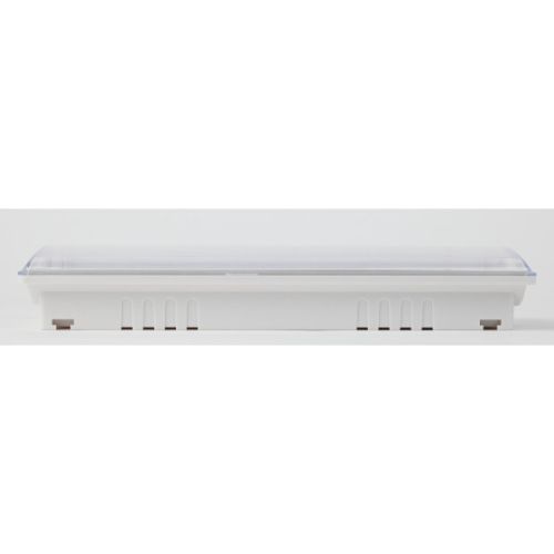 Светильник светодиодный DPA-301-1-65 IP65 40LED 3ч аварийный постоянный Проектный Эра Б0051843