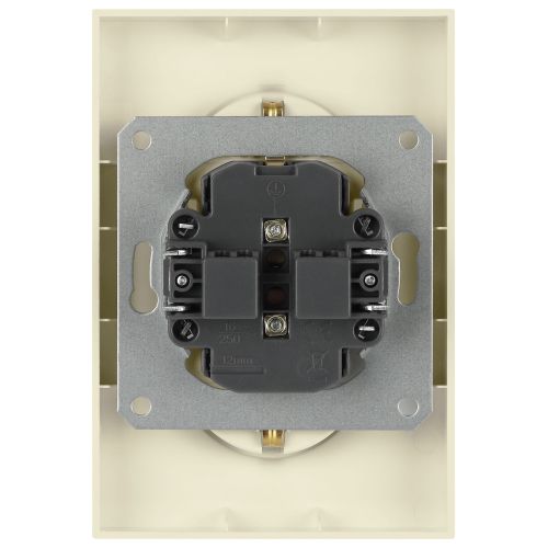 Розетка 2-м СП Arktik 16А IP20 250В с заземл. со шторками сл. кость 16-2105-02 Эра Б0070455
