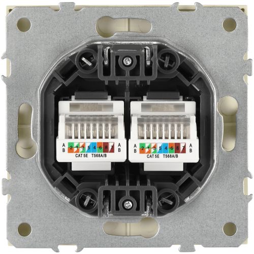 Розетка информационная 2-м СП Galaxy RJ45 16А IP20 250В сл. кость 15-3108-02 Эра Б0070758