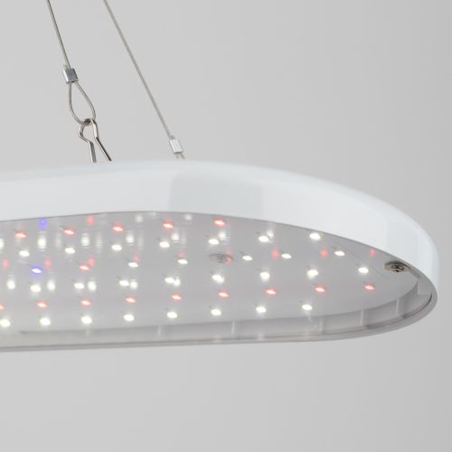 Светильник светодиодный FITO-25W-QLED-FLY 25Вт подвесной для растений полноспектральный Эра Б0053062