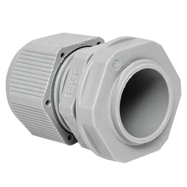 Сальник PG13.5 d6-12мм (d отверст. 21мм) IP54 (уп.2шт) PROxima EKF plc-pg-13.5-2-r