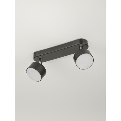 Светильник Alesta 7079-702 15Вт 2хGX53 настен./потолочн. спот поворотн. Rivoli Б0069932