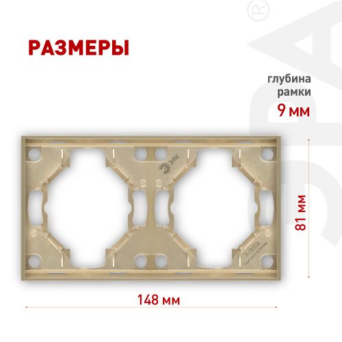 Рамка 2-м Arktik шампань 16-5002-04 Эра Б0070557
