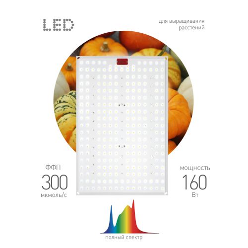 Панель светодиодная FITO-160W-LED-QB Quantum board 160Вт полноспектральная для растений IP65 Эра Б0057283