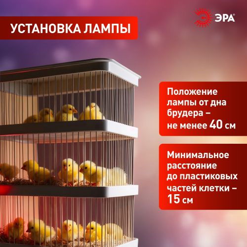 Излучатель тепловой (лампа инфракрасная) FITO-200W-НQ CeramiHeat RX 200Вт E27 для брудера/рептилий не дает света керамическая Эра Б0059885