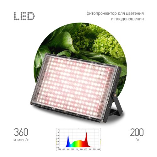Прожектор светодиодный GREEN LINE FITO-200W-Ra90-LED-Y-GR 200Вт 4800-5000К IP65 для растений полного спектра Эра Б0069870