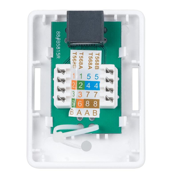 Розетка компьютерная 1-м ОП WS-8P8C-Cat.5e-1 RJ45 кат.5E Dual IDC Cabeus 7246c