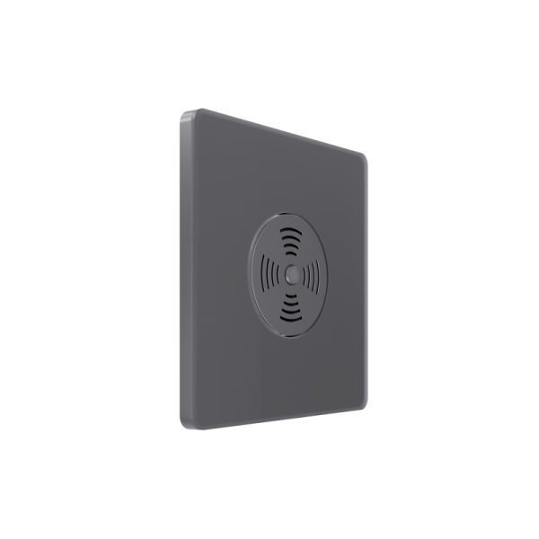 Выключатель звуковой СП Systeme Infinity 100Вт 230В с выдержкой времени вулканический пепел SE FSE000794