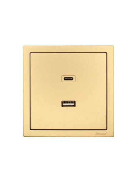 Розетка СП ZIMA IP20 Type-C + USB механизм зол. LEZARD 704-3688-192TC