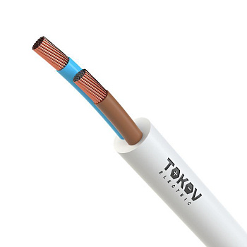 Провод TOKOV ELECTRIC ПВСнг(А)-LS 2х1.5 380В Б (уп.100м) 69165