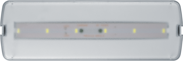 Светильник светодиодный 95 294 NEF-21 5Вт 300лм 220-240В IP20 акк. LiFePO4 1800мА.ч аварийно-эвакуационный NAVIGATOR 95294