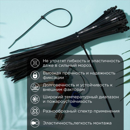 Хомут 3.6х250мм морозостойкий черн. (уп.100шт) Rexant 87-0251