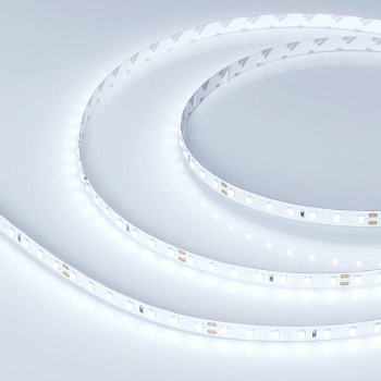 Лента светодиодная RT-A98-8mm 24V Cool 8000К 10Вт/м IP20 2835 (уп.5м) Arlight 019912(2)