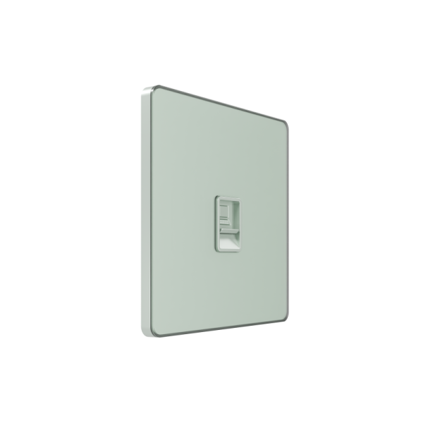 Розетка информационная 1-м СП Systeme Infinity RJ45 кат.6 IP20 таежное утро SE FSE000886