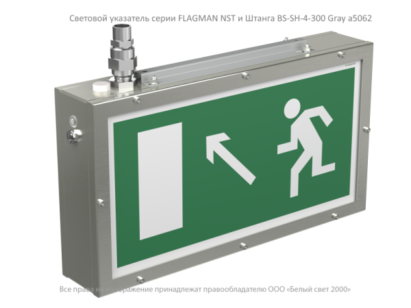 Штанга BS-SH-4-300 Белый свет a5062