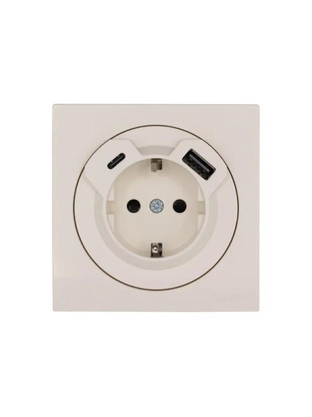 Розетка 1-м СП OSEN с заземл. TC + USB разъем механизм сл. кость LEZARD 743-9088-181TC
