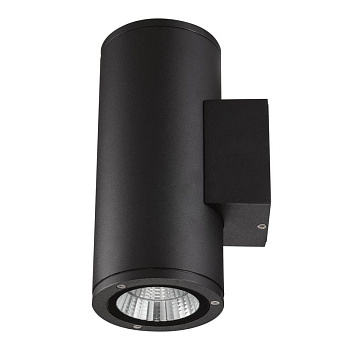 Светильник светодиодный ULU-S22D-2x12W/6400K BLACK 24Вт 6400К IP65 уличный черн. Uniel UL-00010848