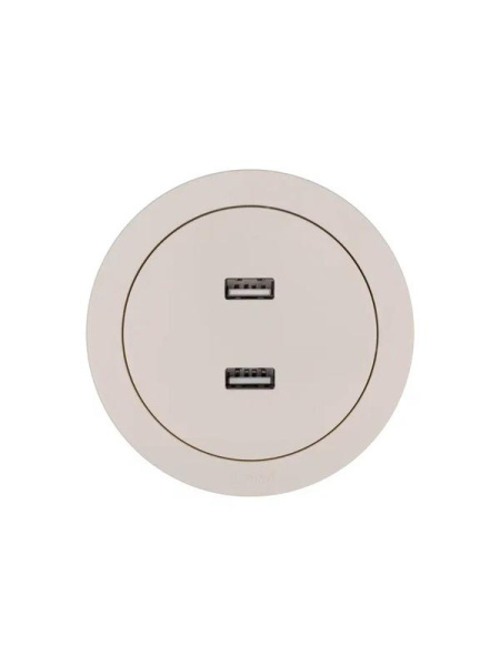 Розетка 2-м СП OSEN USB разъем механизм сл. кость LEZARD 743-9088-192