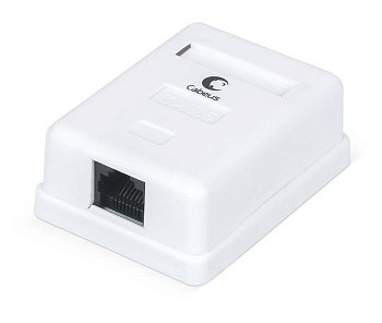 Розетка компьютерная одинарная внешняя WS-8P8C-Cat.6-1 RJ-45(8P8C) кат.6 Dual IDC Cabeus 7481c
