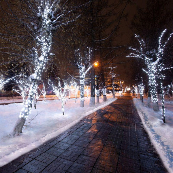 Гирлянда светодиодная "LED ClipLight" шаг 15см 665LED бел. 80Вт 12В IP65 эффект мерцания flashing бел.; провод ПВХ прозр. (уп.100м) Neon-Night 325-165