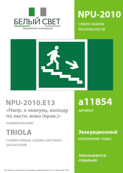 Знак безопасности NPU-2110.E13 "Направление к эвакуационному выходу по лестнице вниз (правосторонний)" Белый свет a11854