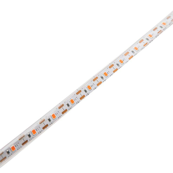 Лента светодиодная ФИТО DSL-010 IP65 (уп.3м) Camelion 15840