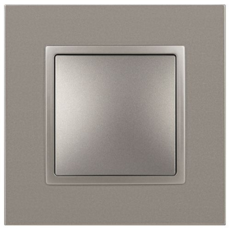Переключатель Elegance 14-1103-16 250В 10АХ титан Эра Б0065792