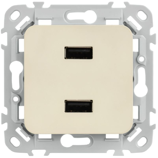 Розетка USB A+A 2вых. СП FLITE РЮ-2-ФлСл 2.1А механизм сливочный IEK FI-U21-D31-K86