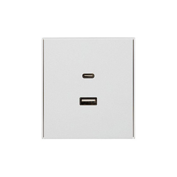 Розетка 2-м СП STRONG 16А IP20 USB-A + Type-C 3А с функцией быстрой зарядки жемчуж. Kranz KR-78-0734-4